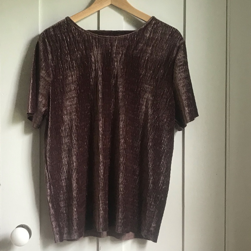 Velvet Short Sleeve Top